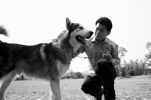 颠覆三观！在上海，这些“奇葩”职业竟然这么赚钱