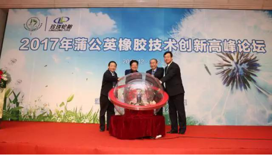 上海热线财经频道--玲珑轮胎:蒲公英橡胶技术产
