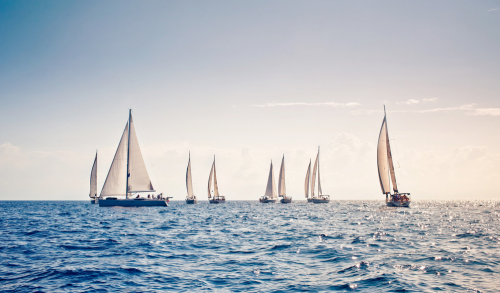 上海热线财经频道--金象美家 品质升级新体验