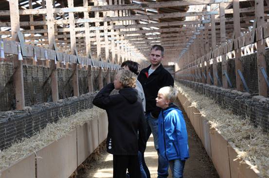 海热线财经频道-- 8000人参观丹麦水貂养殖场