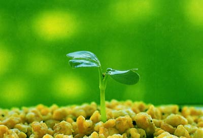 热线财经频道-- 环保板块启动 千亿土壤修复市