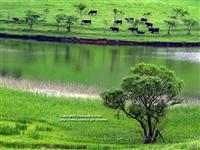 上海热线财经频道-- 地下水污染引关注 土壤治
