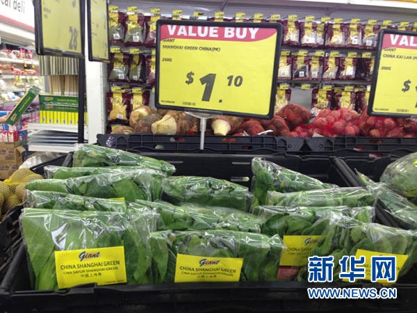 新加坡酒店_新加坡旅游景点_新加坡人均收入2013