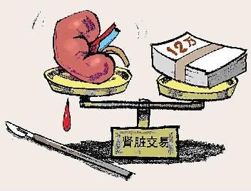 畸形的卖肾生意:年轻人成供体 每个肾脏仅12万