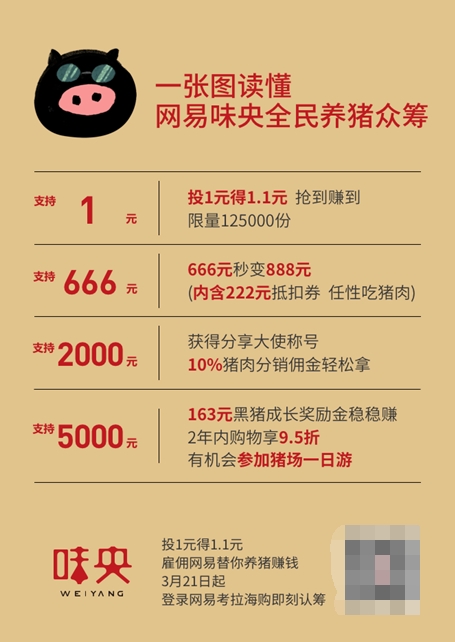 上海热线财经频道--1元养猪赚钱!网易考拉上线