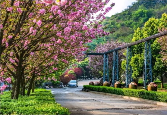 上海热线财经频道--维维股份贵州醇荣获中国酒