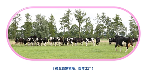 上海热线财经频道--进口奶粉排行榜10强 美纳多