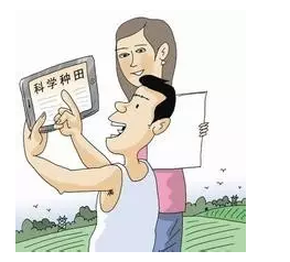 收入证明_你想增加收入吗(2)