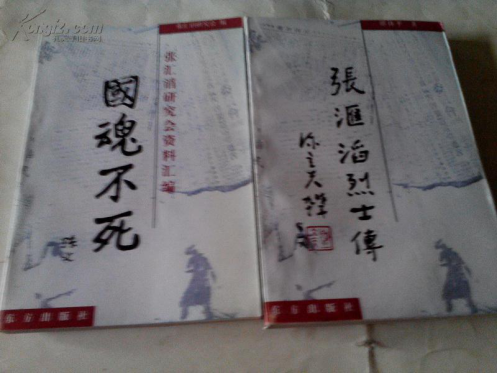 上海热线财经频道--《国魂不死》电视剧制片人