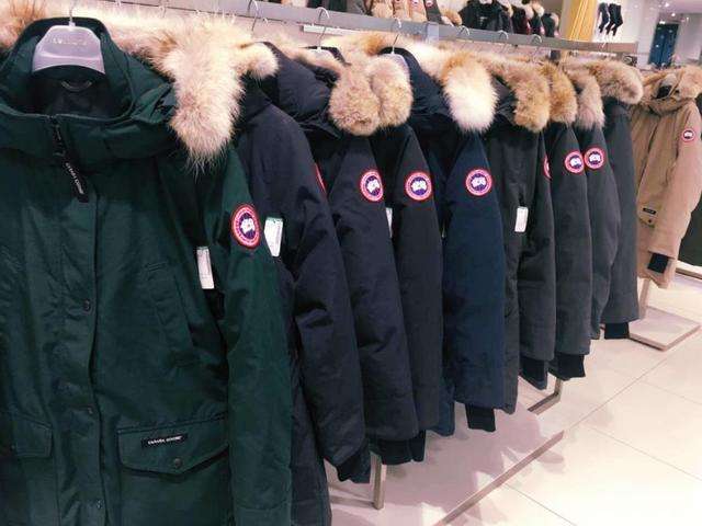 加拿大鹅暴跌!3天损失高达80亿!原因竟然是