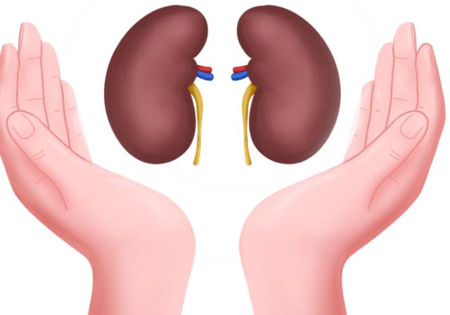 什么情况才会出现血尿 IMG4487fc9b6ed863058898226.jpeg