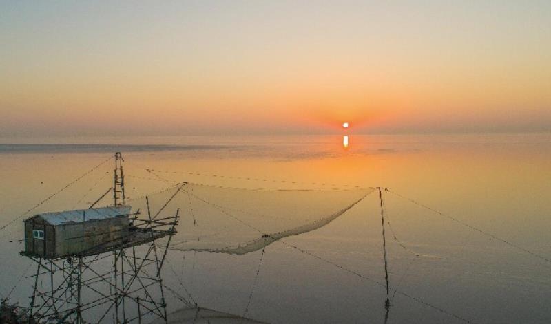 “玩转临港”临港特色旅游线路发布 七大主题满足不同游客需求