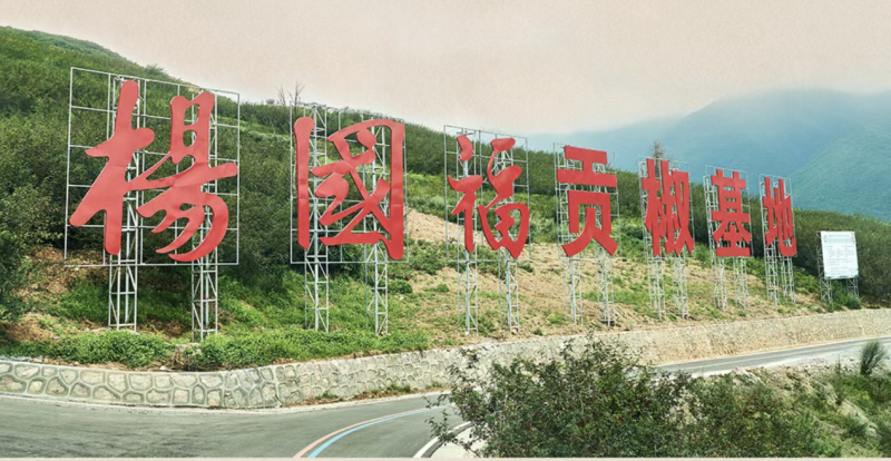 点击查看原始图片