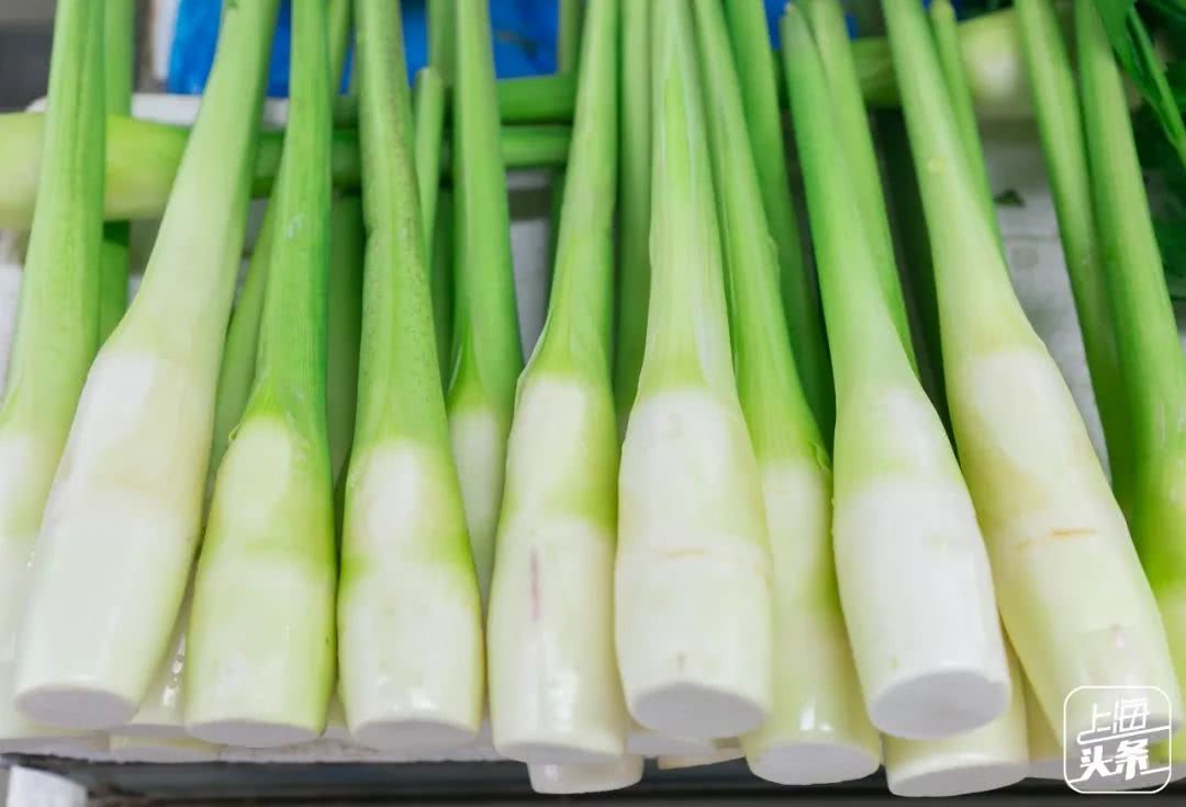 定了!上海这个低调的区要翻身!未来3年将被全世界瞩目!