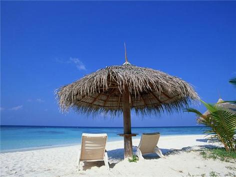 春节消费旺季到来 旅游商业"策马扬鞭"