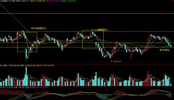 查看更多精彩图片