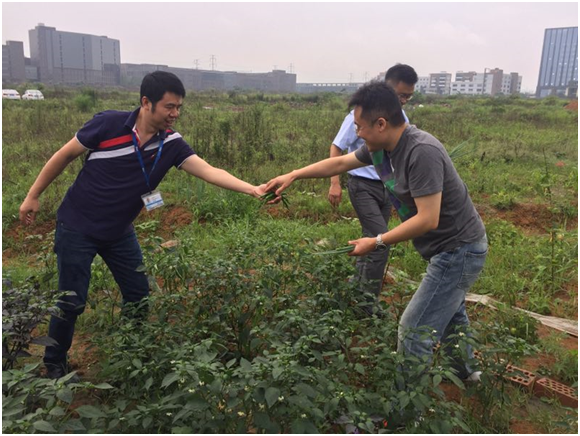 上海热线财经频道--伟创力成都果实累累